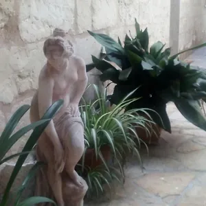 https://bb-cuore-del-palio.lecce-hotels.com